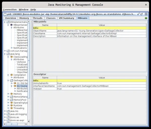 MBeans tab MBeans 标签
