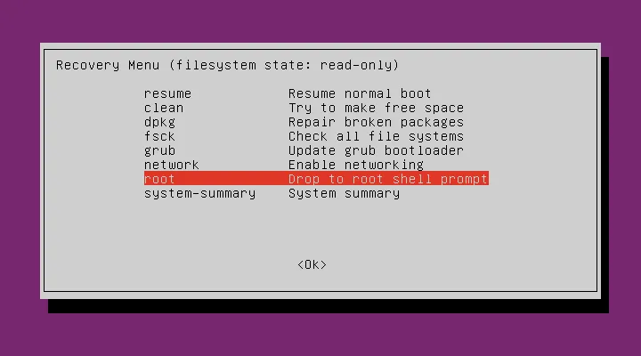 Enter Into Root Shell Prompt In Ubuntu 22.04 / 20.04 LTS