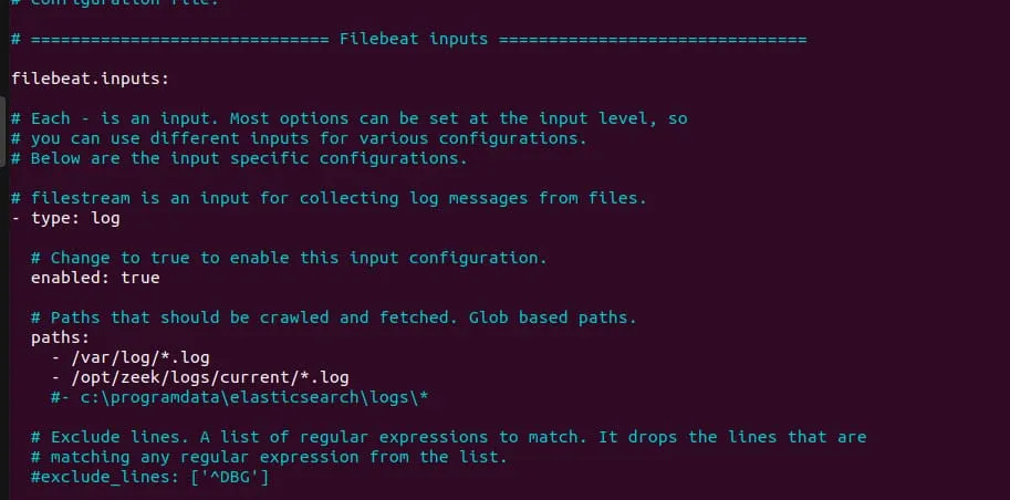 Figure 1: Filebeat config (a)