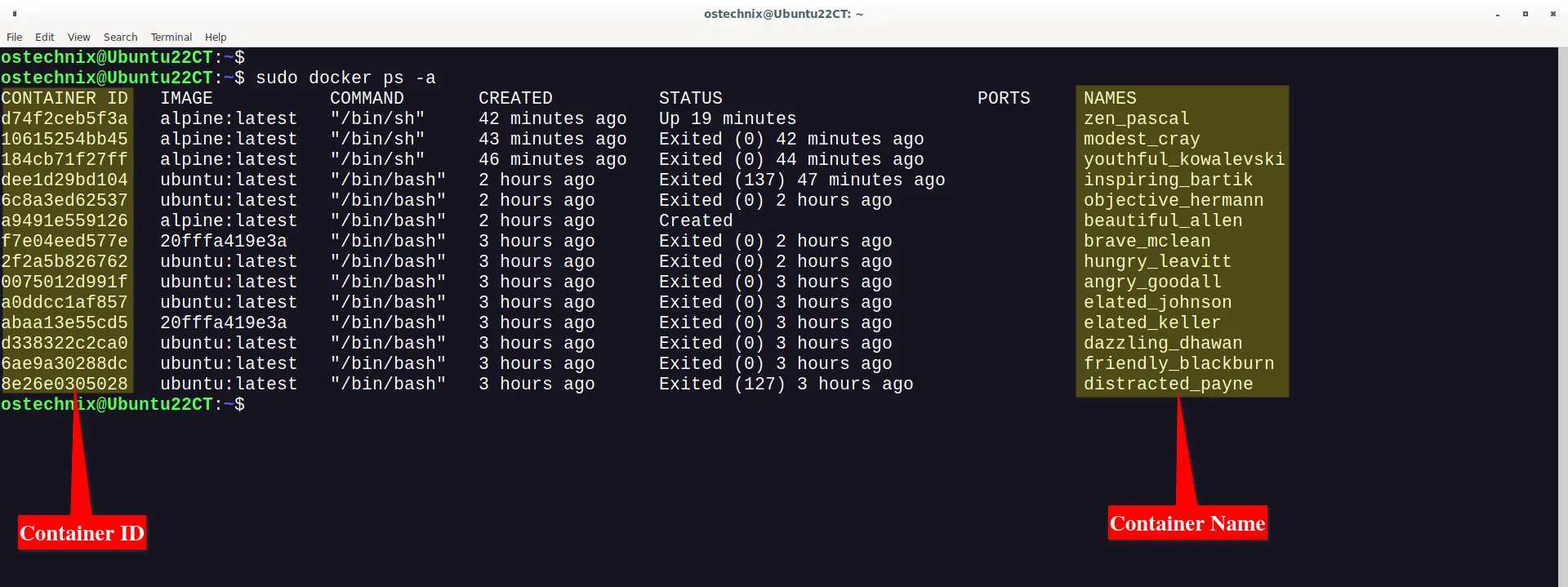 Find Container ID And Name