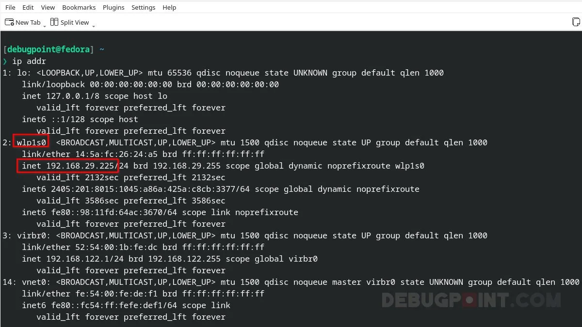 在 Linux 中查找 IP 地址