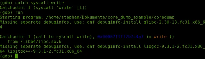 catch syscall write output