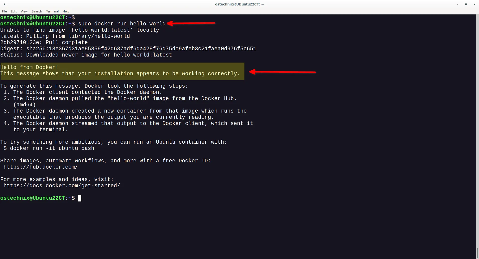 Run Hello World Docker Container