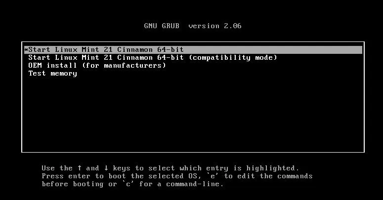 图 10：Linux Mint GRUB 菜单启动安装