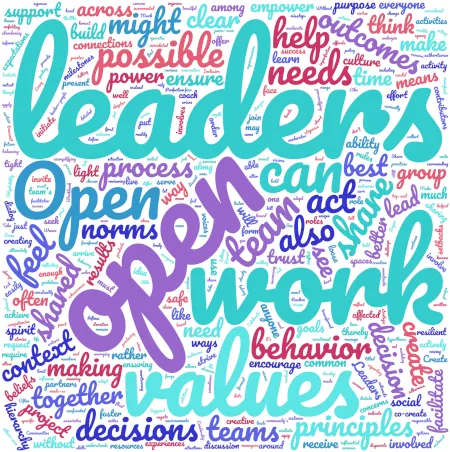 Open Leadership Definition word cloud