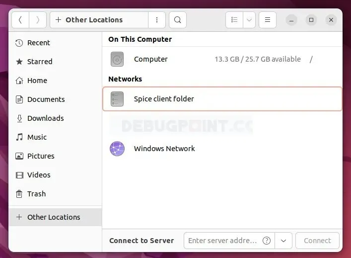 客体机中的 Spice 客户端文件夹