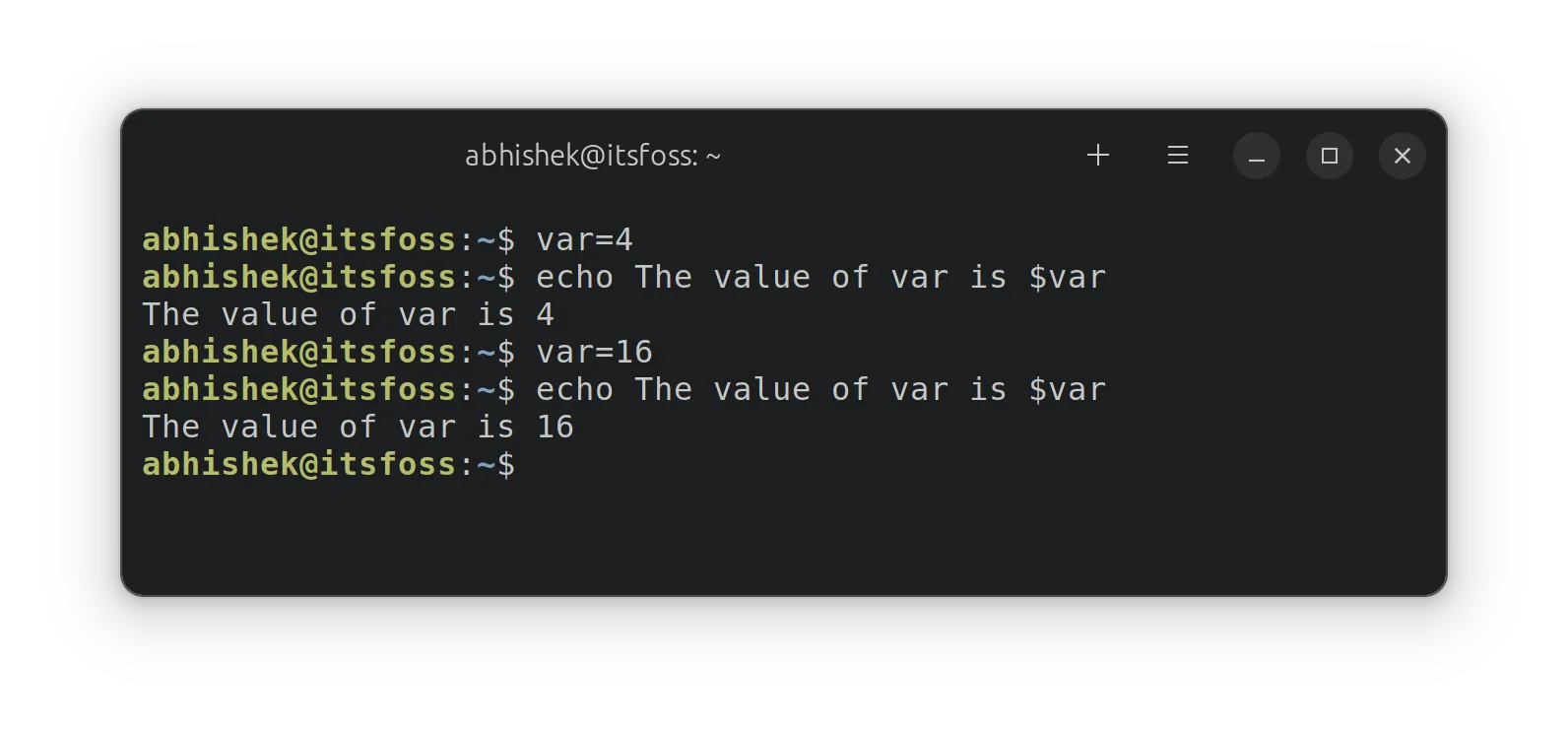 Using variables in shell
