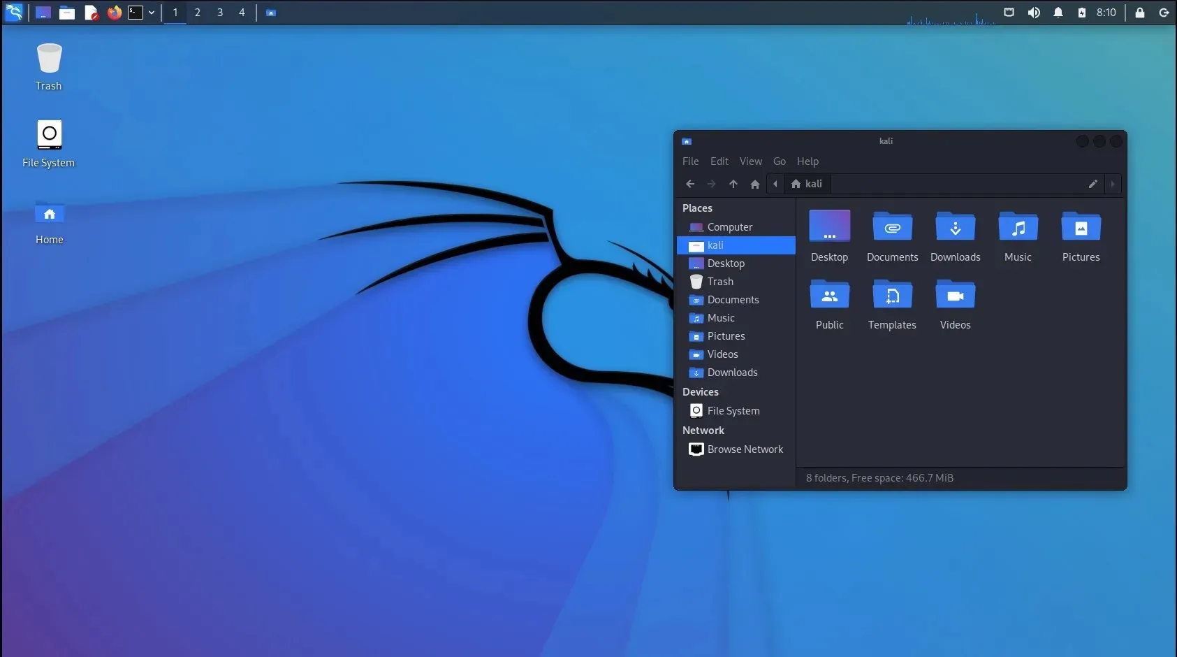 Kali Linux 隐私专用 Linux 发行版