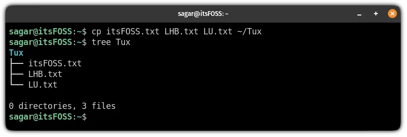 copy multiple files using the cp command in linux