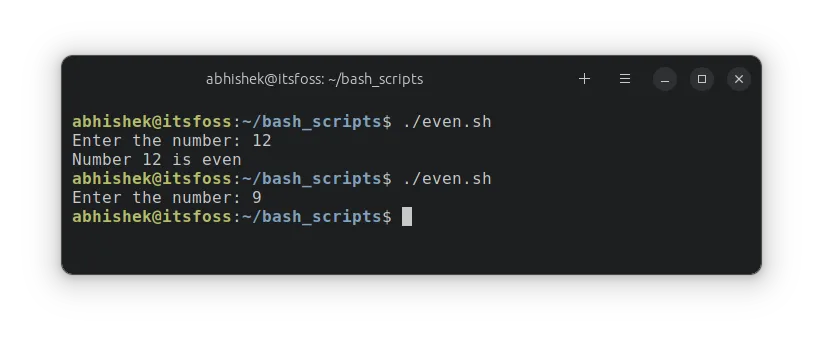 Running a script with if statement example in bash