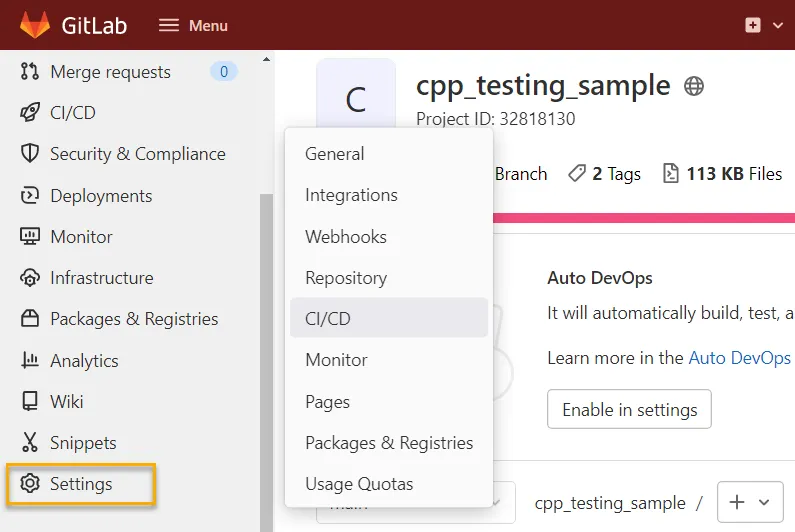 Select CI/CD in Settings