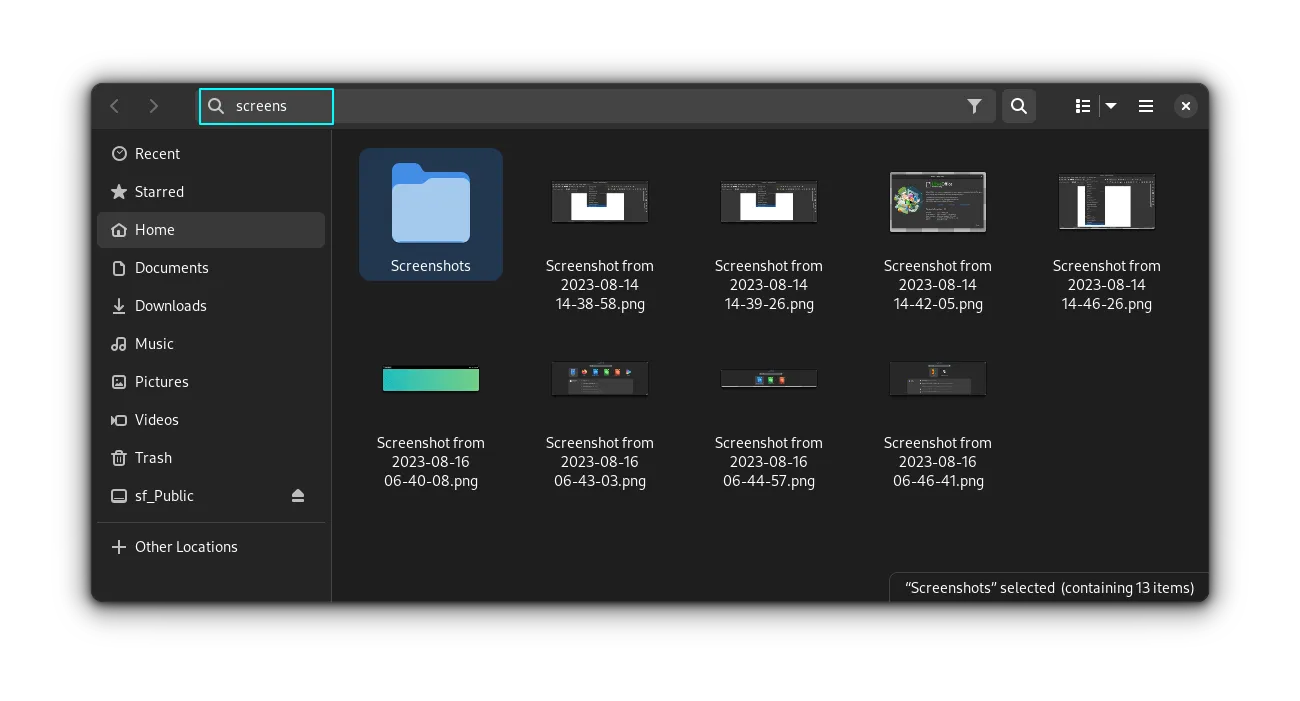Nautilus 文件管理器的搜索模式