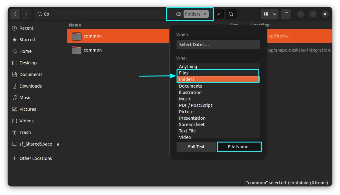 仅在文件或文件夹中搜索